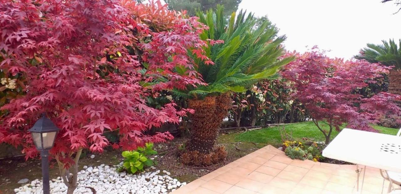 Villa Gaia - Luxury Villa, Pool & Wellness Rooms Bordighera Luaran gambar